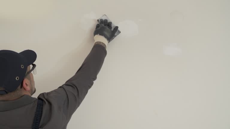 Best Drywall Removal and Disposal  in Park Falls, WI